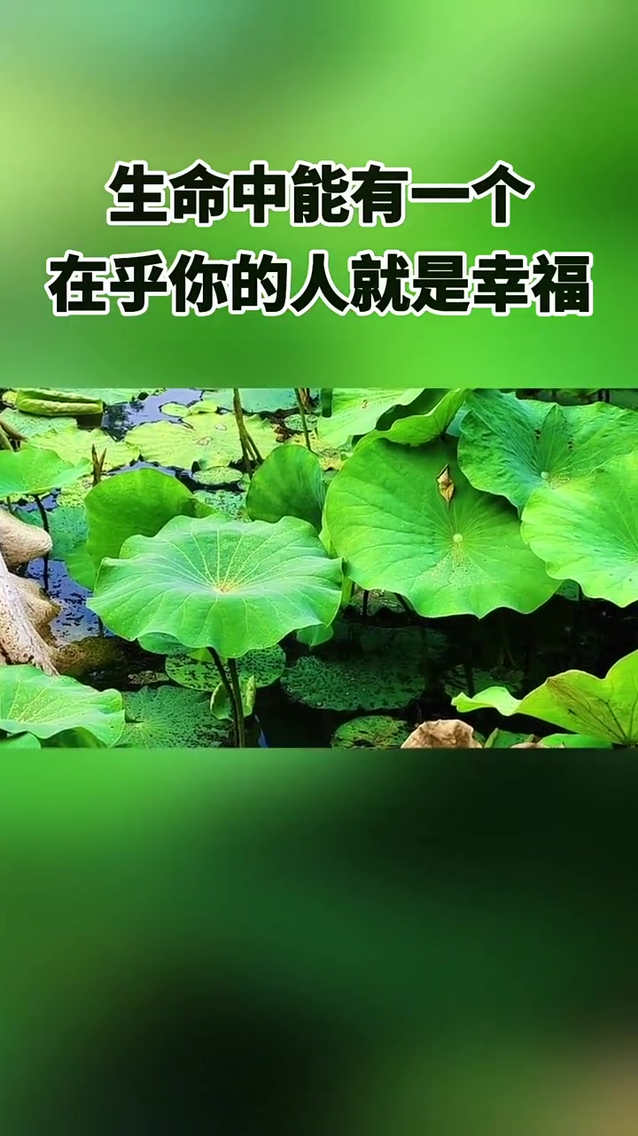 早安 情感语录 “人生哲理 ”