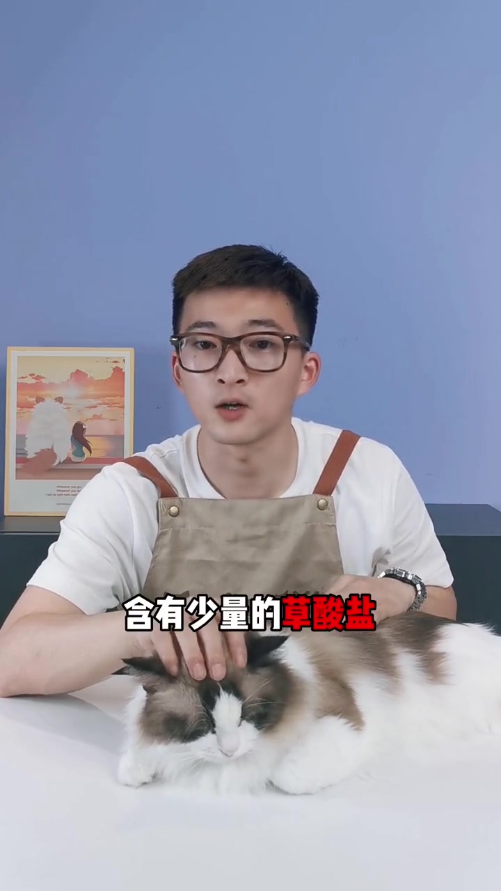 猫喜欢吃的蔬菜有哪些?快来看看!