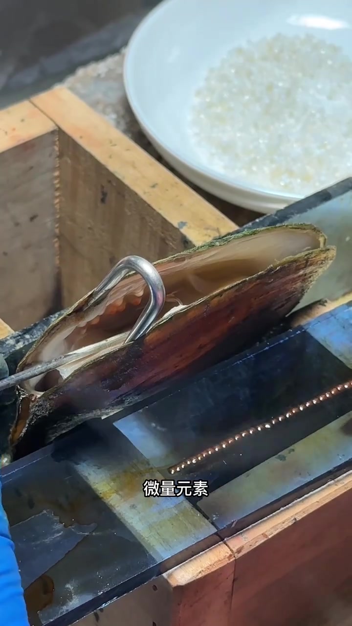 “鱼蚌混养”孕育出的珍珠更璀璨 记者来开珍珠盲盒