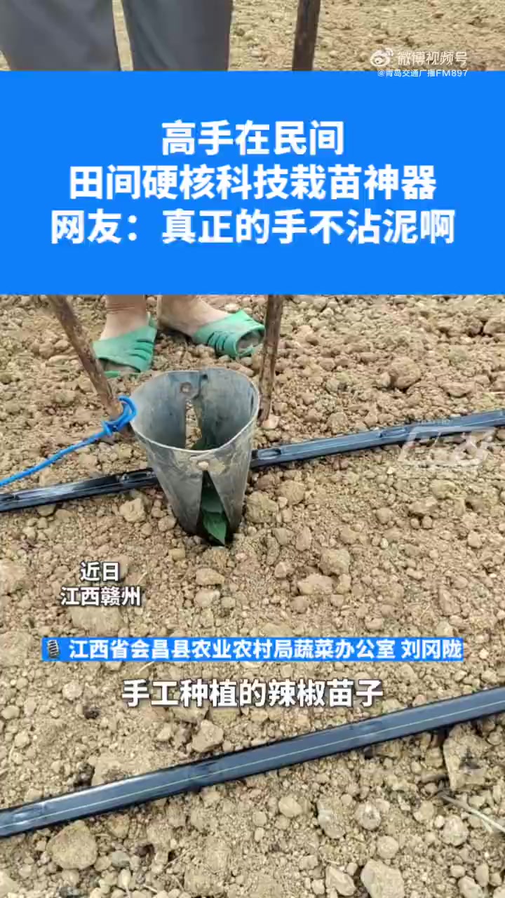 被农田栽苗吸引住了「劳动人民的智慧 不用弯腰的农田硬核神器惊奇网友」近日,江西赣州。一款不