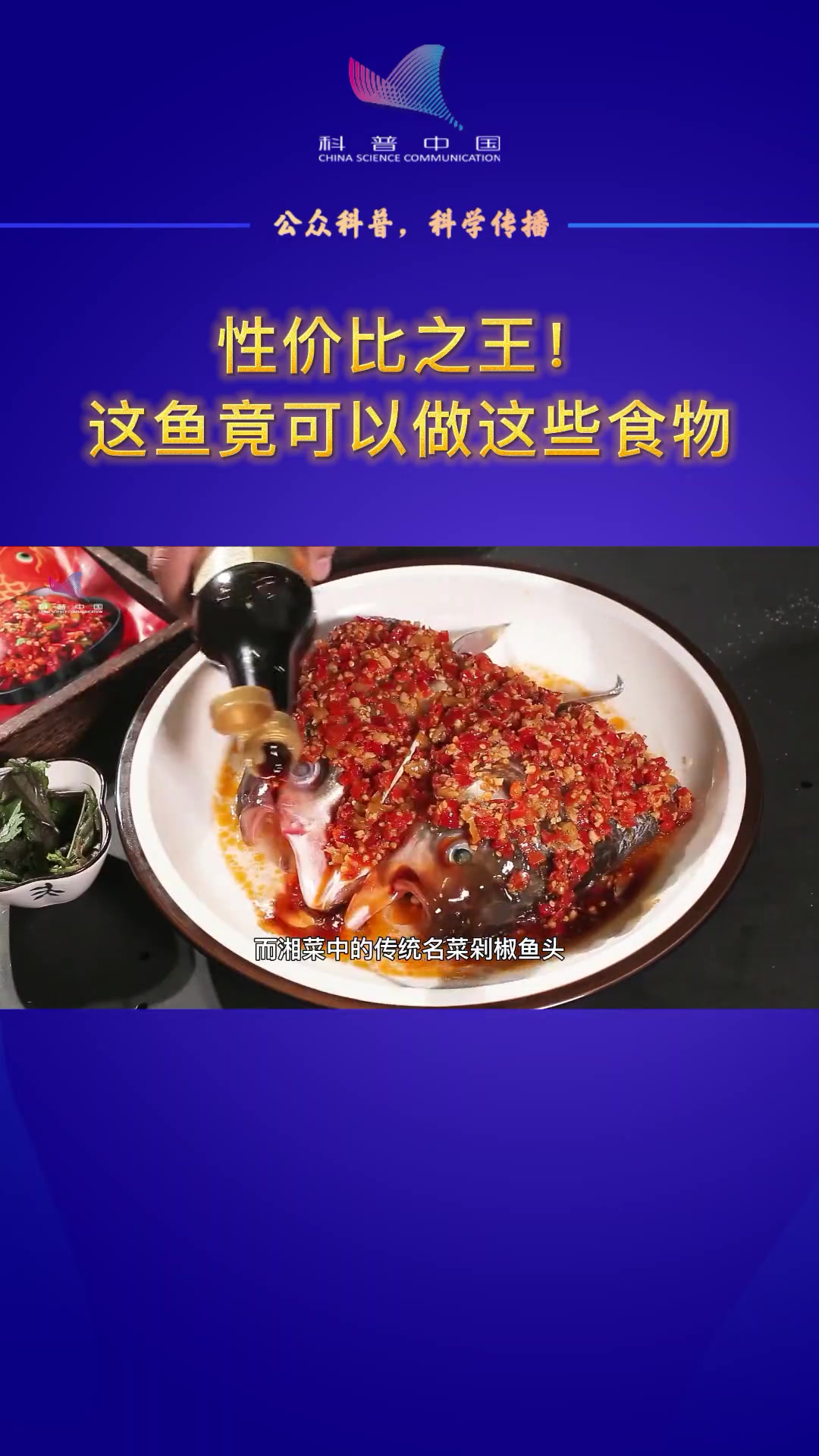 鳙鱼:大国渔业系列科普——你家的锅够大吗?来试试能不能装下这