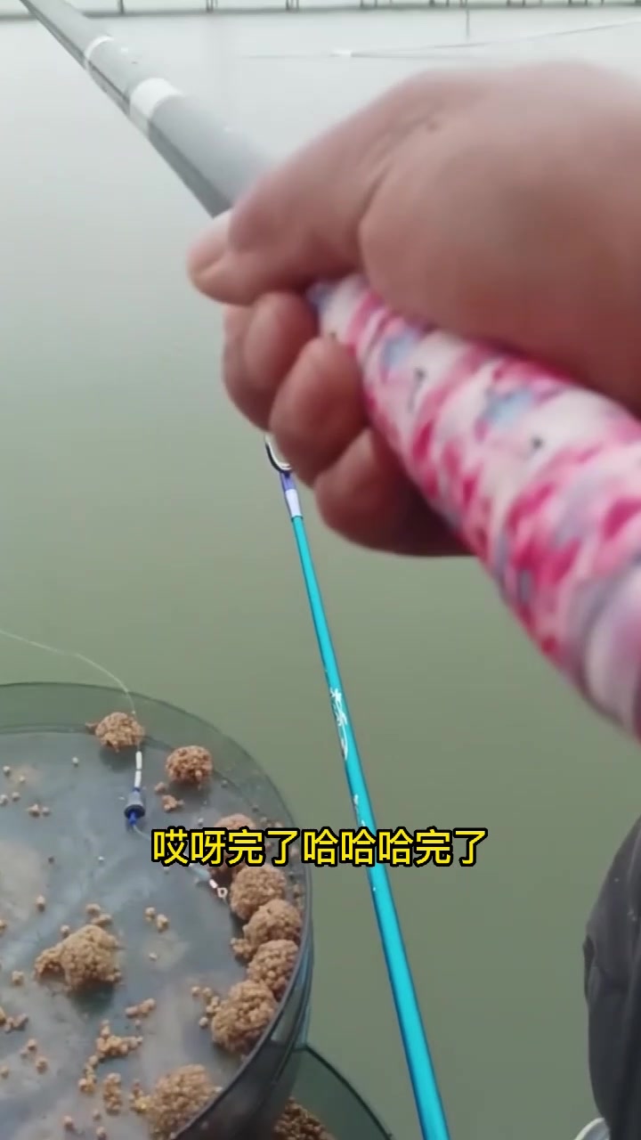 速拔哥钓鱼技巧视频,苏州钓鲤鱼遇到大青鱼,突然断大线真过瘾