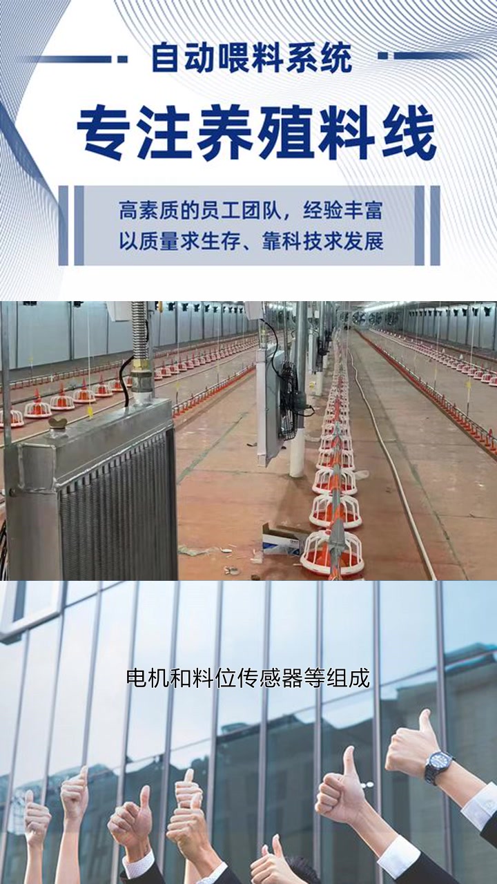 吉林肉鸡料线 肉鸡料线多少钱 河北全自动养猪料线