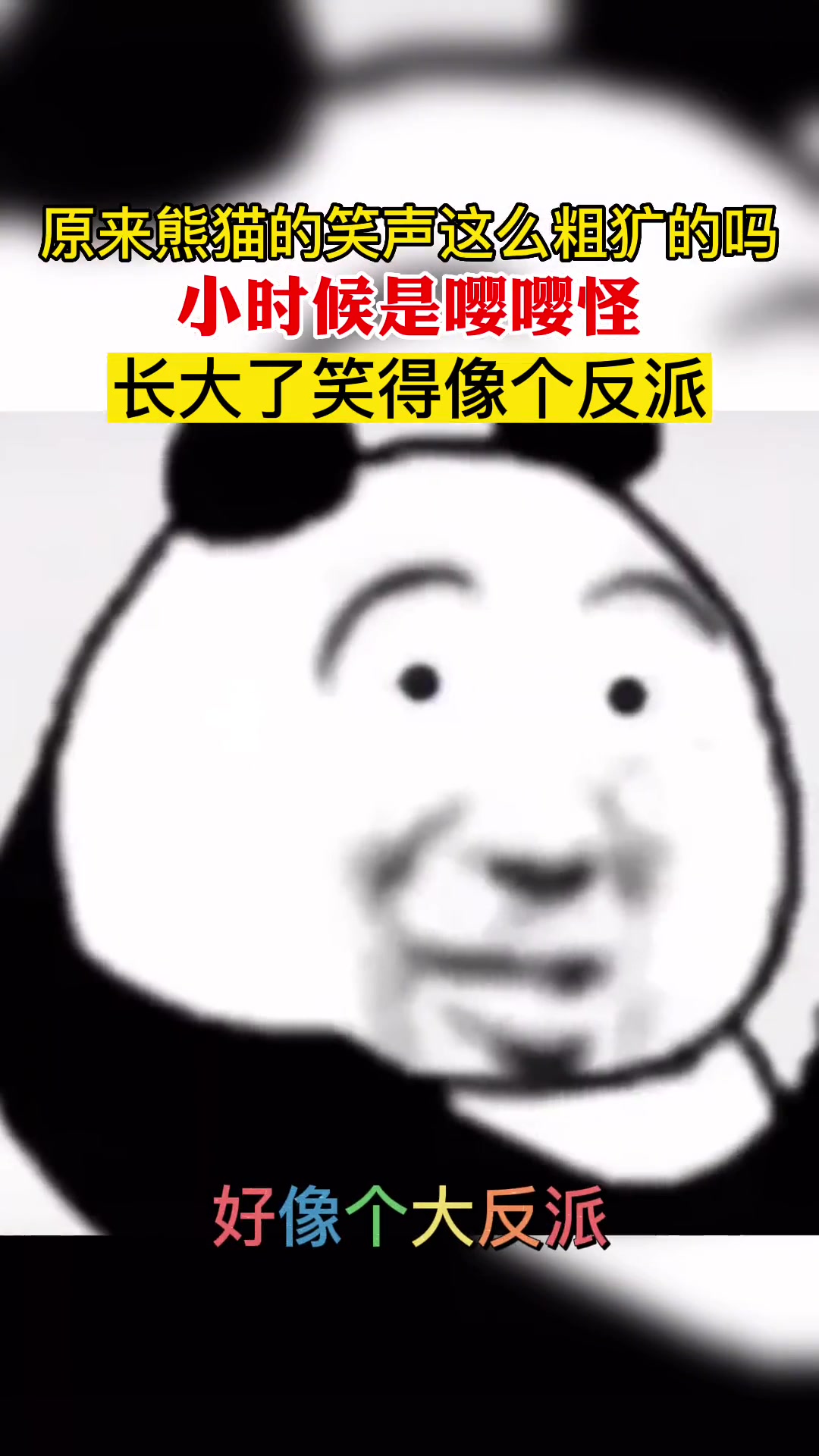 原来熊猫的笑声这么粗犷的吗 小时候是嘤嘤怪 长大了笑得像个反派