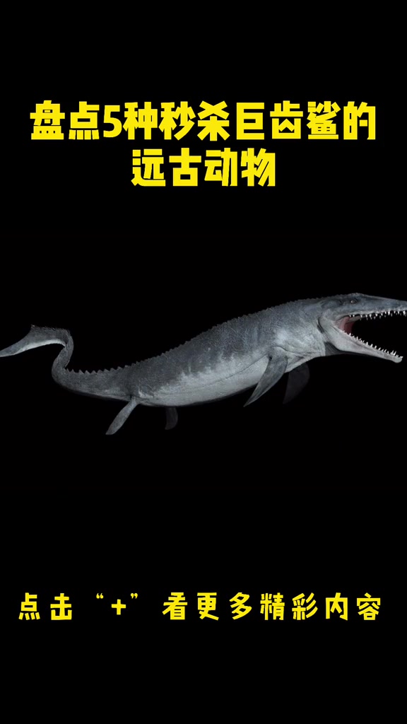 盘点5种轻松秒杀巨齿鲨的史前动物,巨型乌贼入选,沧龙仅排第3
