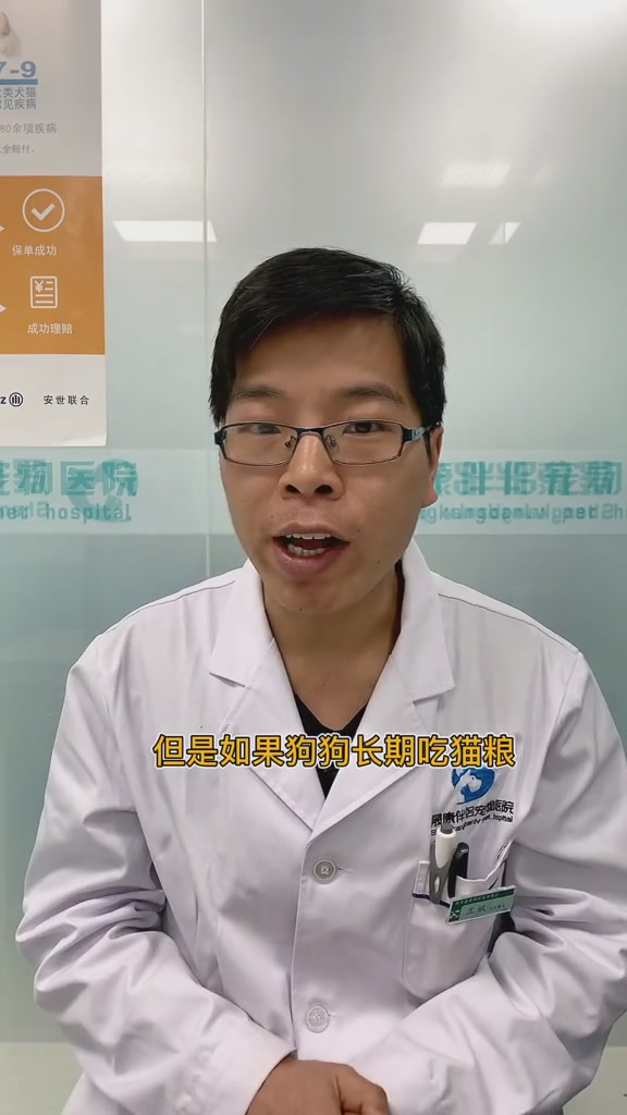 狗狗能不能吃猫粮 这个视频有点料