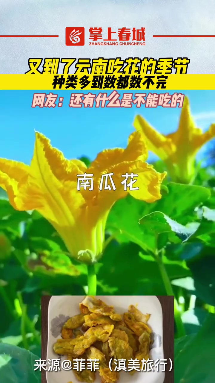 又到了云南 吃花的季节,种类多到数都数不完 云南 旅行推荐官 云南鲜花 云南美食(来源:(