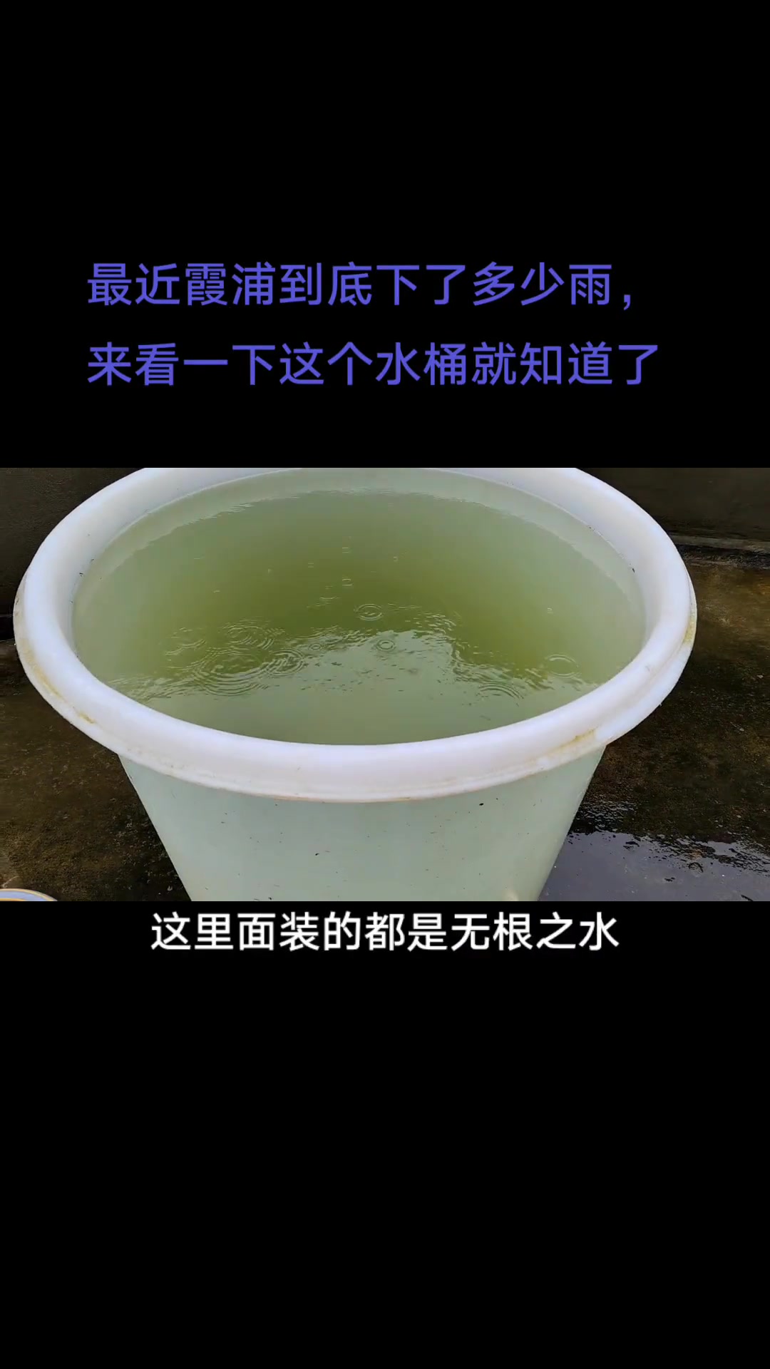 最近霞浦到底下了多少雨,来看一下这个水桶就知道了 爱霞浦 霞浦 雨下个不停 我的城市下雨了