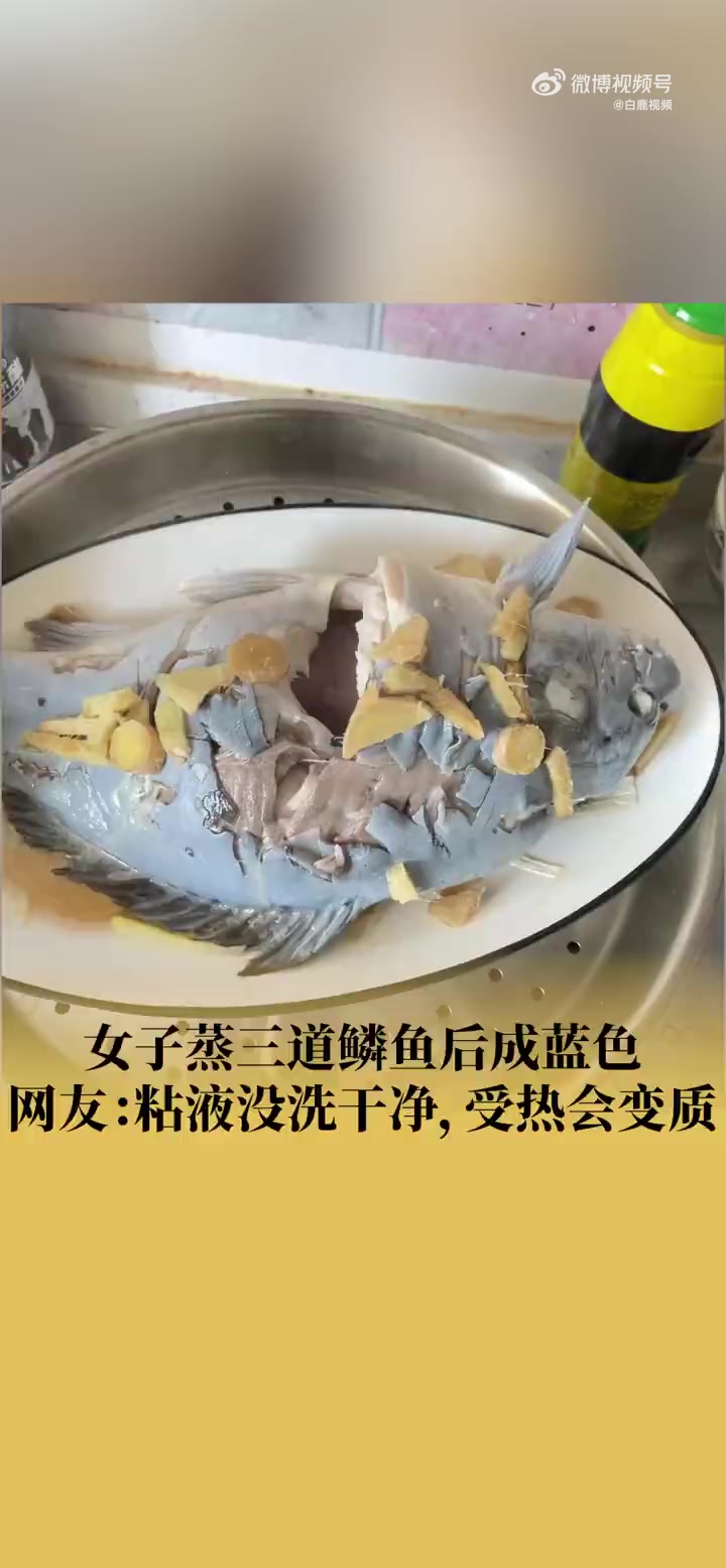 「女子蒸三道鳞鱼揭盖后成蓝色 网友:粘液没洗干净」近日,黑龙江哈尔滨。女子蒸三道鳞鱼后成蓝