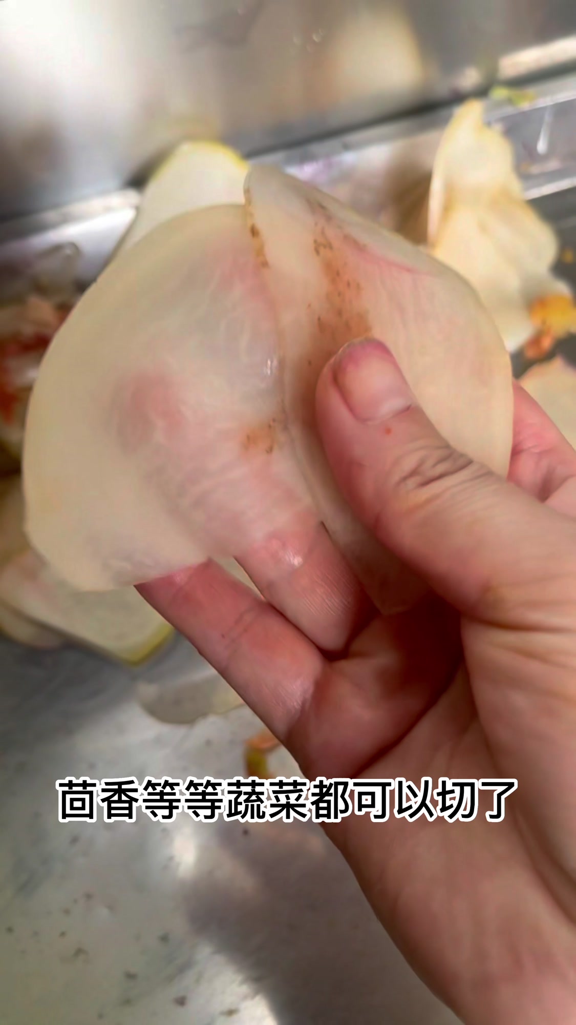 咸菜切丝机 多功能切菜机