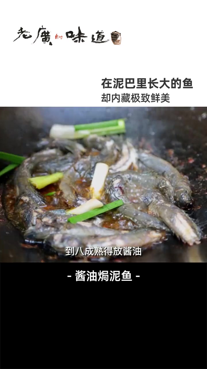 丑萌丑萌却鲜美无比的泥鱼,煮粥、煎炒、滚汤,你喜欢怎样的吃法呢?美食趣胃计划 家常菜