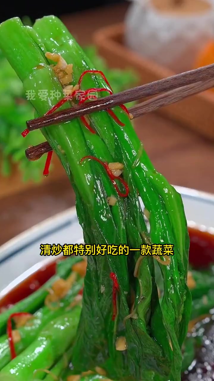 长得快,采收快而且脆嫩好吃的菜心,春天你种了吗?我的小菜园 种菜 田园生活 家庭种植