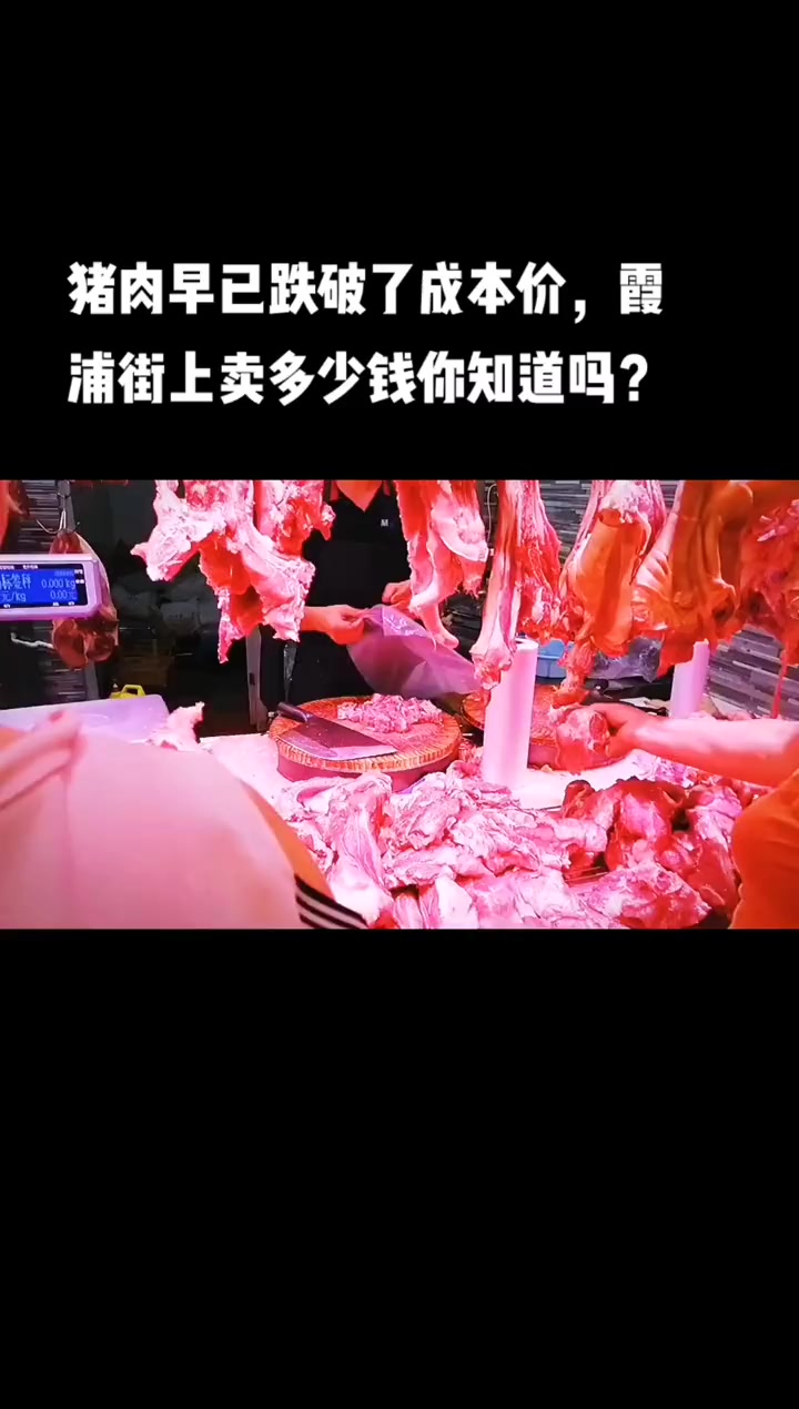 猪肉早已跌破了成本价,霞浦街上卖多少钱你知道吗?霞浦 爱霞浦 正宗土猪肉