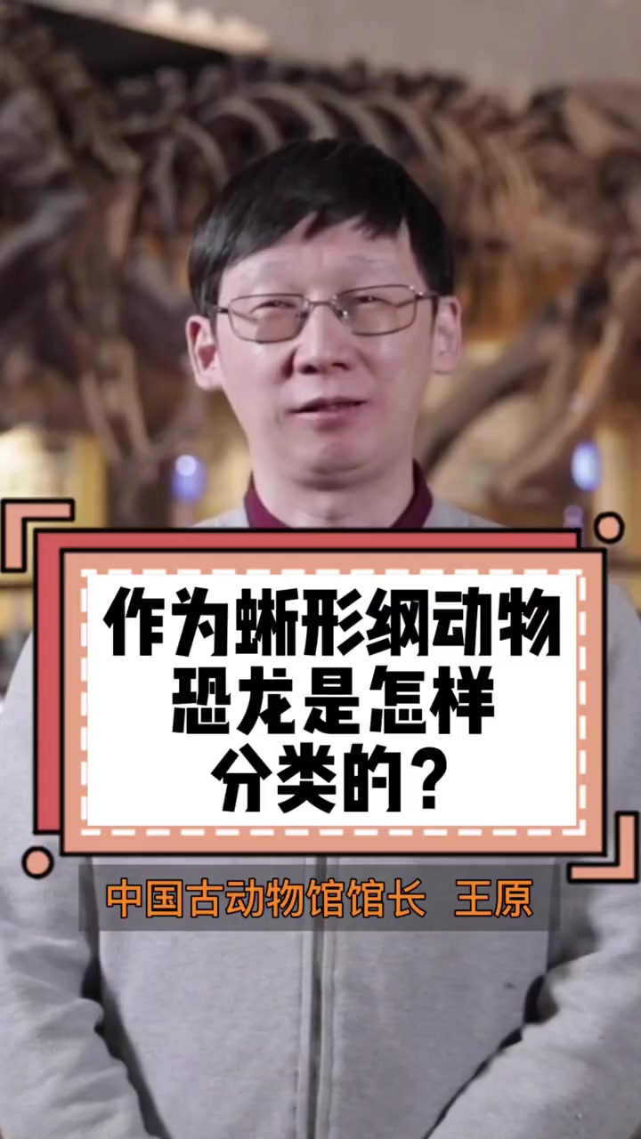 作为蜥形纲动物恐龙是怎样分类的?