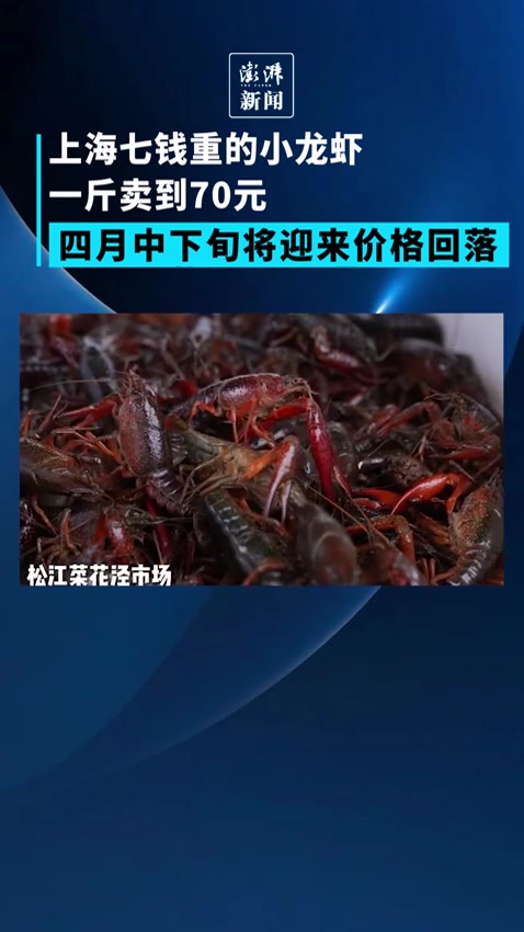 上海七钱重的小龙虾一斤卖到70元,四月中下旬价格将回落