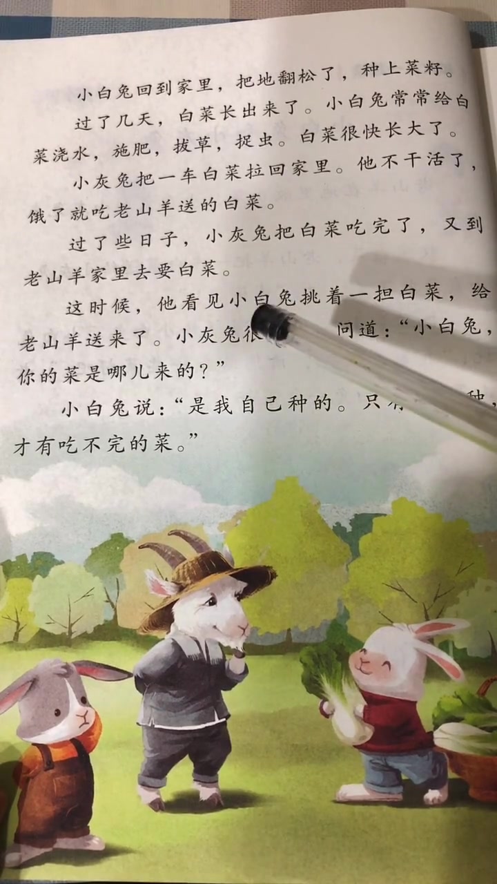 文凯老师读课文 小学一年级上册课文《小白兔和小灰兔》