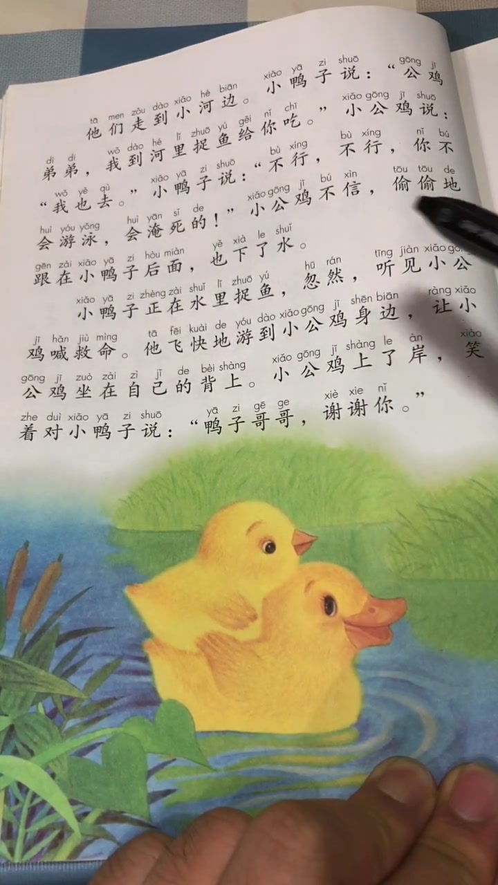读课文 小学一年级下册课文《小公鸡和小鸭子》