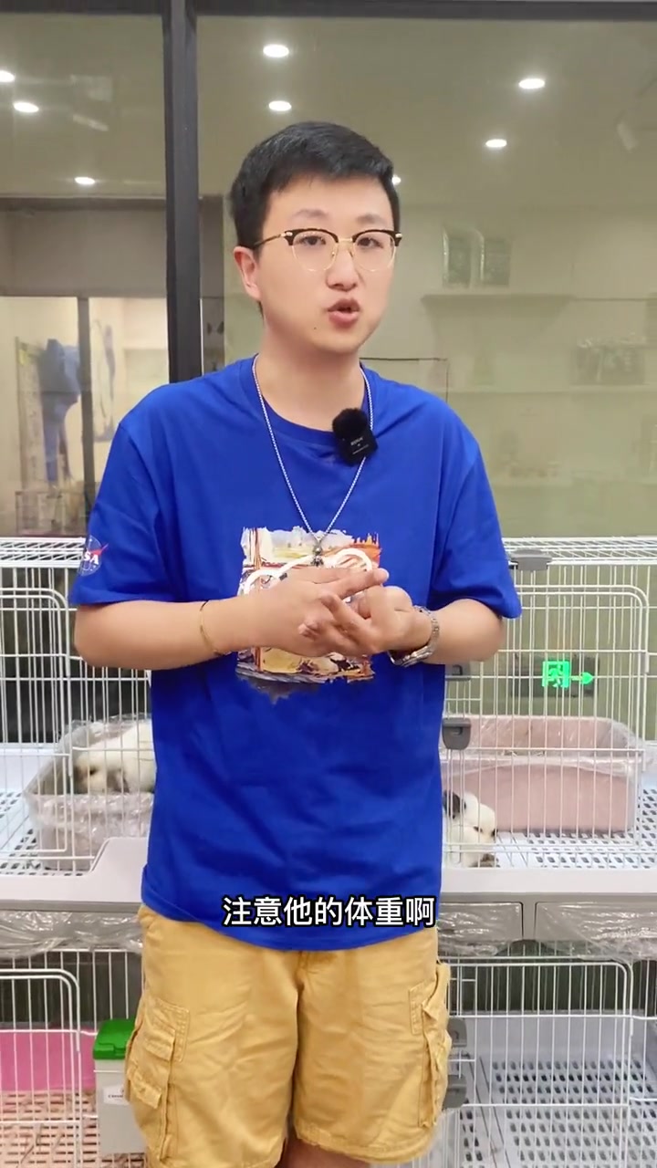 兔兔什么时候成年?什么时候开始老了?一岁的兔兔相当于人类的几