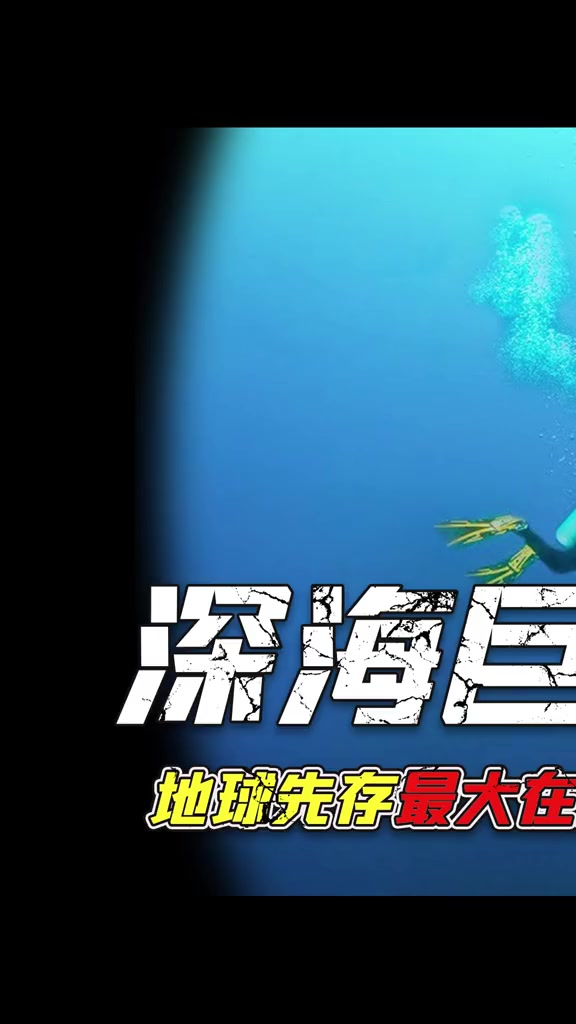 来了来了!海洋里最强鲨鱼!一口20吨的咬合力,太刺激了