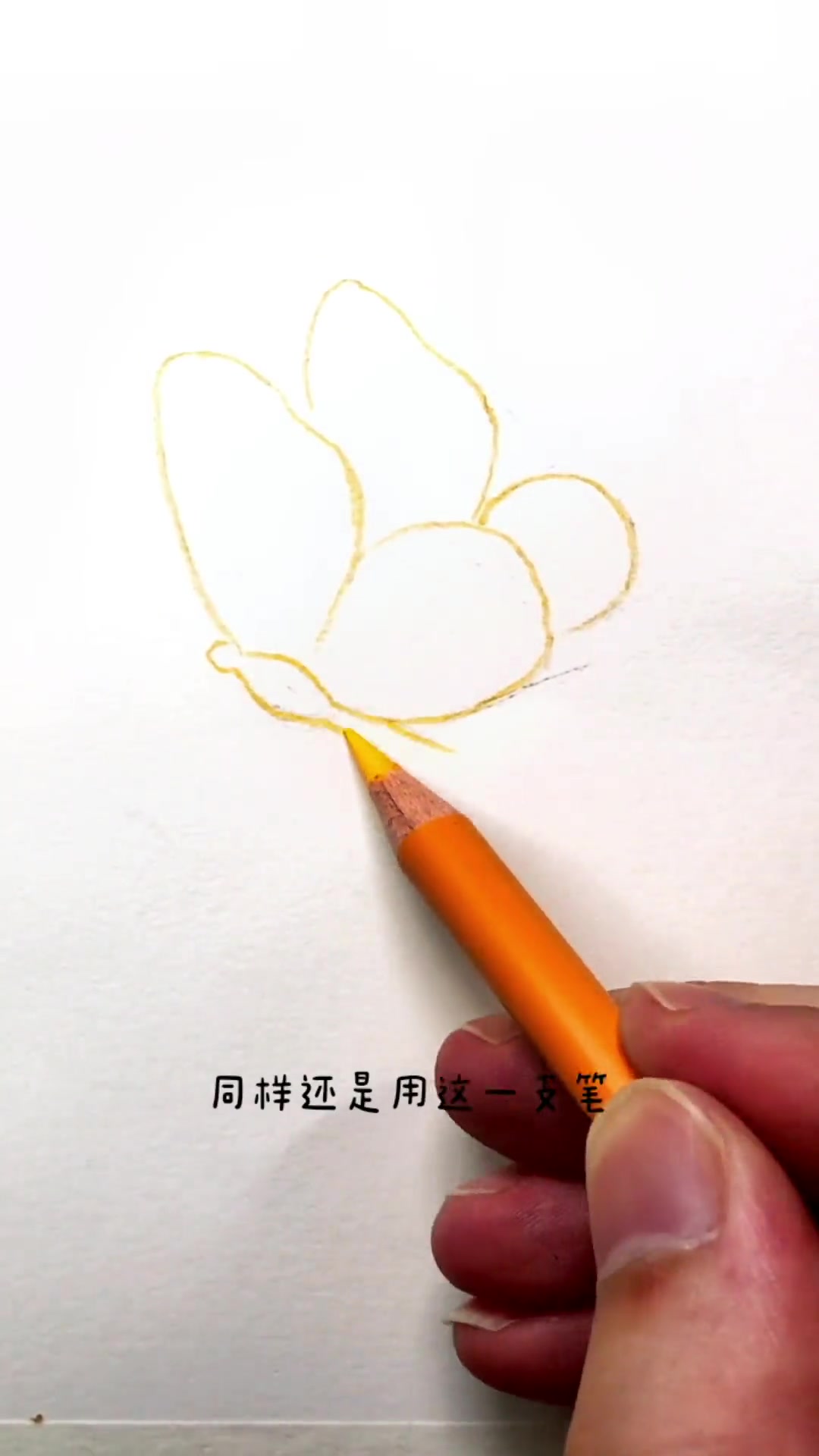 第12集|不一样的彩铅蝴蝶教程,好看又好学 原创 彩铅 零基础学画画 手绘