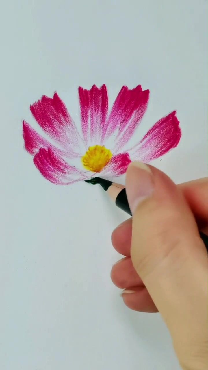 第4集|画朵小花,好看的花卉教程来咯!彩铅 手绘 零基础学画画 绘画手工