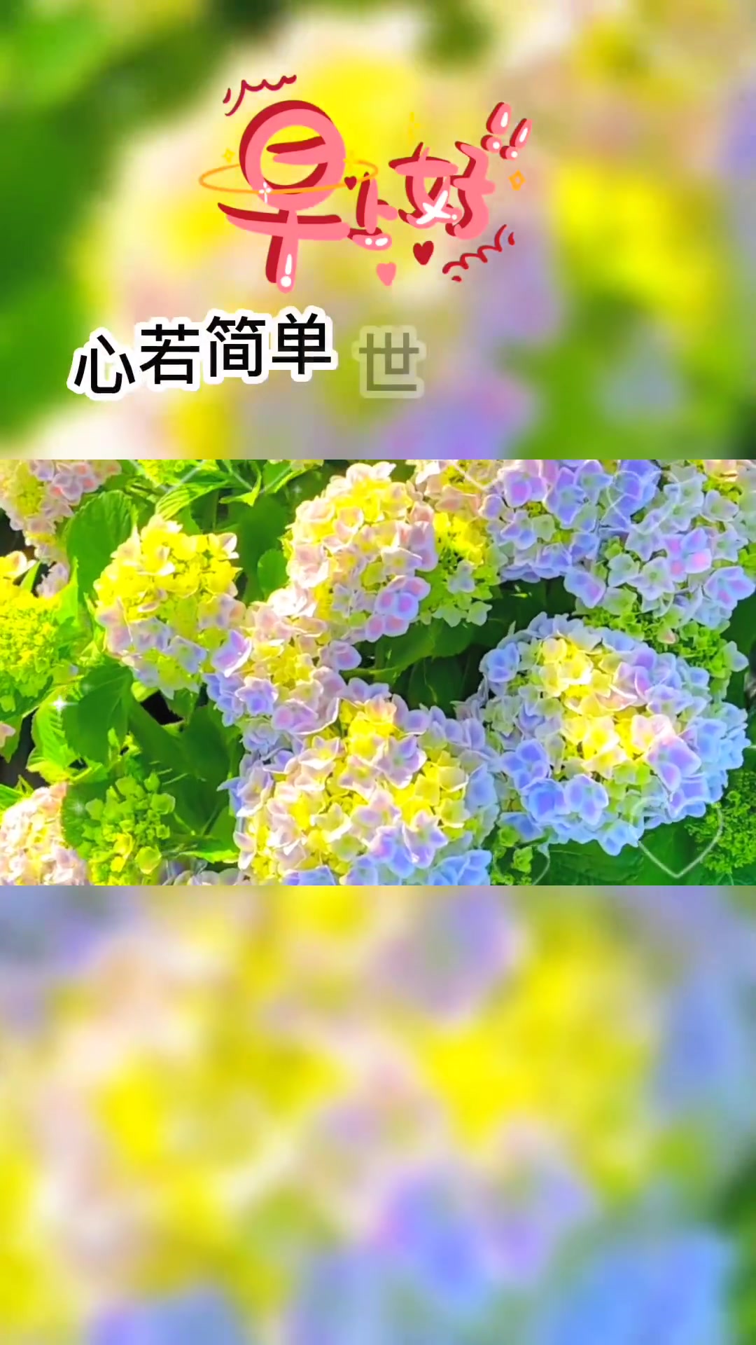 今天是6月16日星期四,早上好亲爱的,心若简单,世界就简单,幸福才会生长,心自由,生活就自