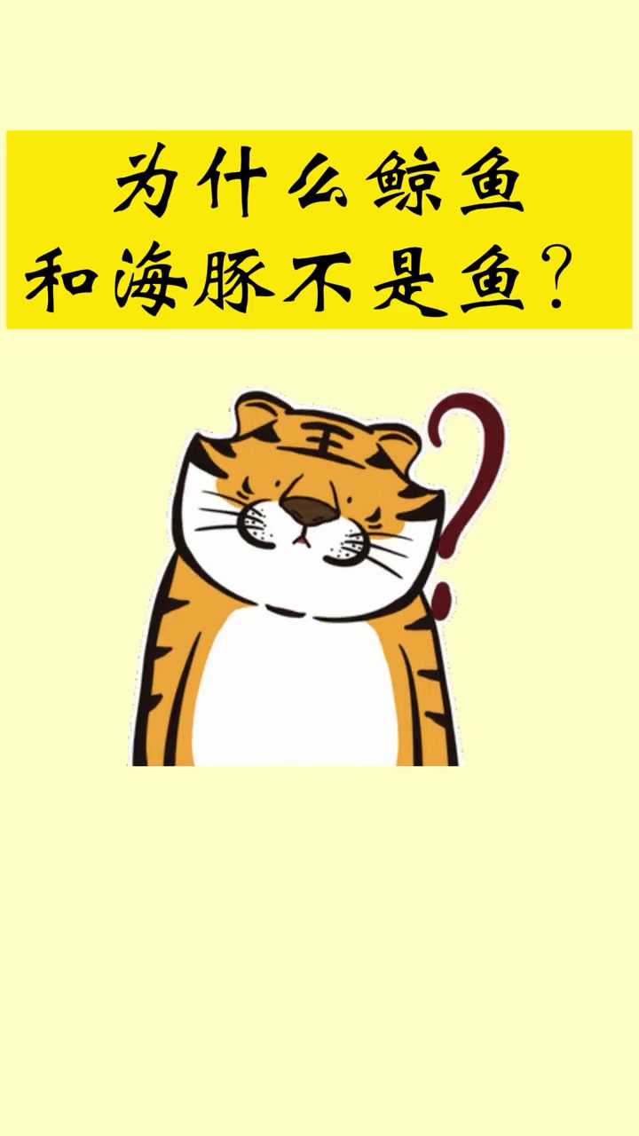 你们知道为什么鲸鱼和海豚不是鱼类吗?