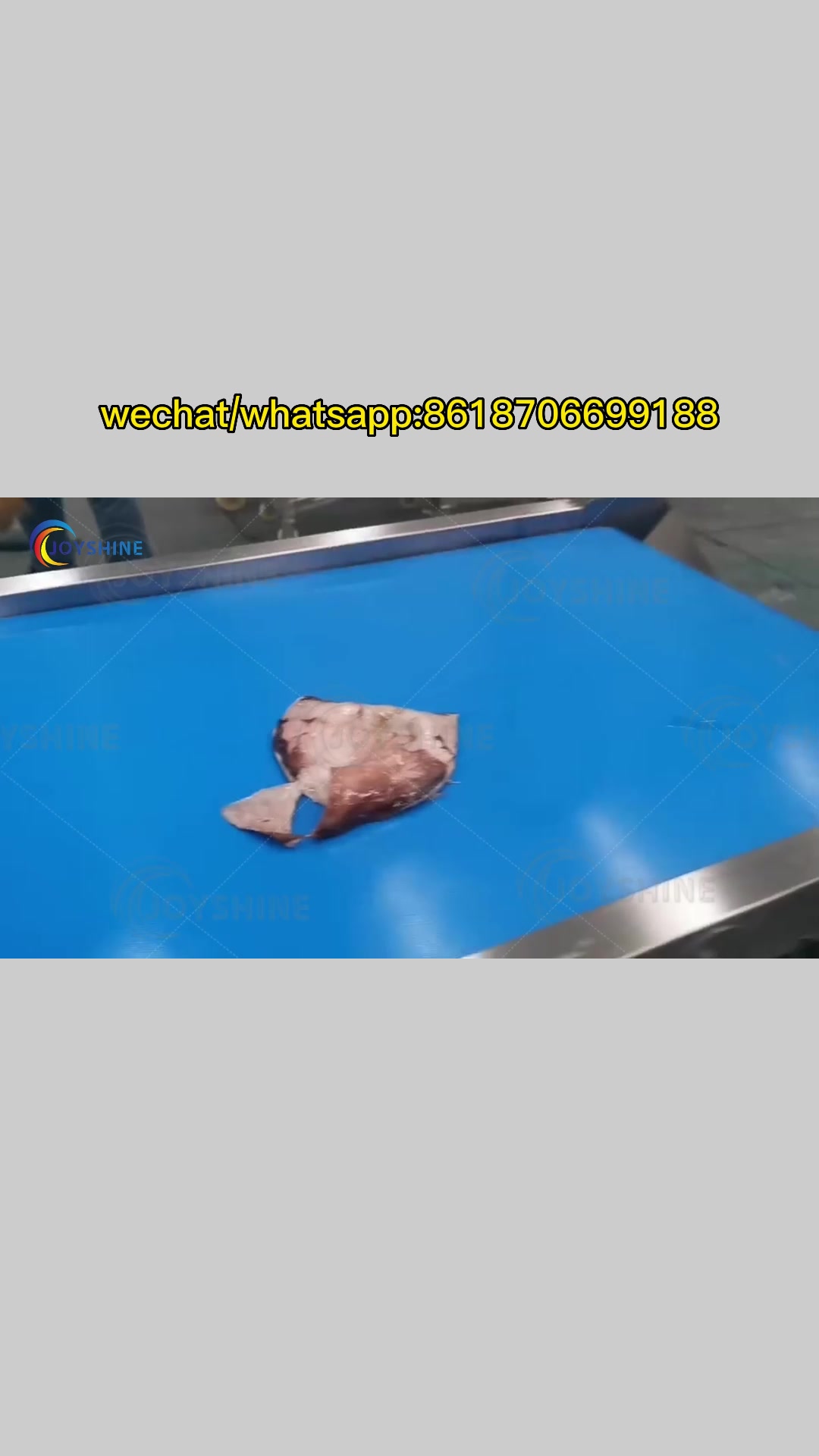 鱿鱼丝的生产流程是什么你知道吗?鱿鱼丝的加工工艺流程