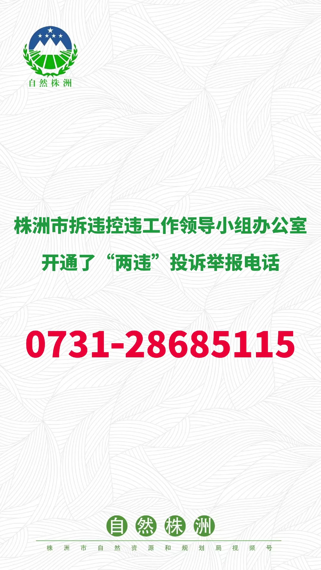 举报电话公布!持续深化“两违”问题整治