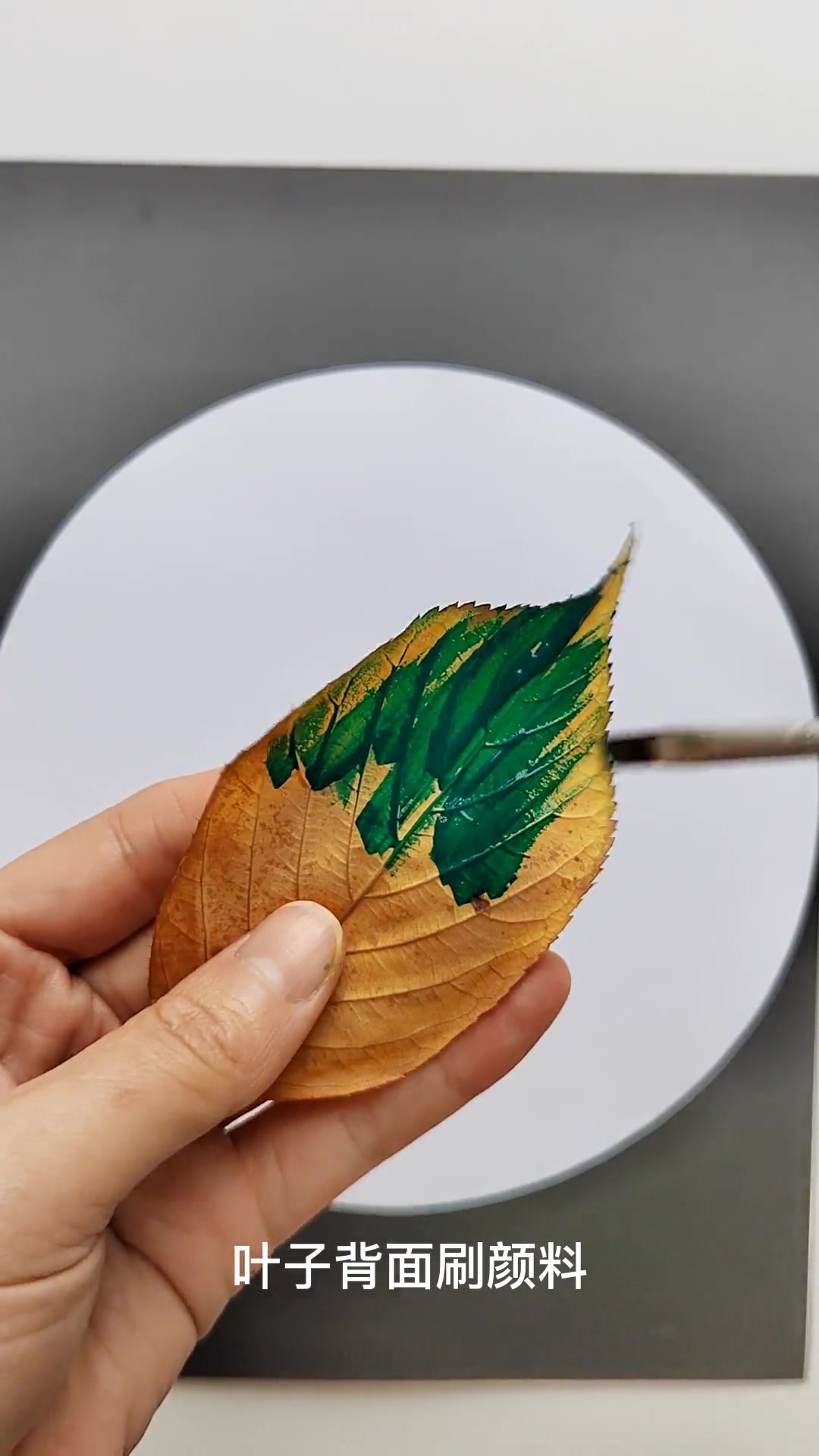 废物利用亲子创意手工:果壳毛毛虫吃完的坚果壳先不着急丢,跟孩子一起做一条可爱的毛毛虫吧~ 