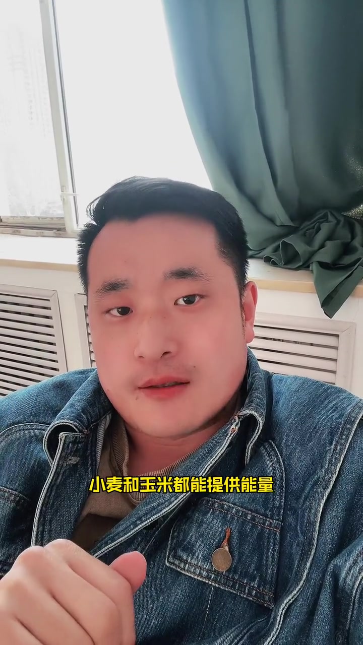 玉米大跌,小麦补位,饲料养殖开始收购 所有养猪人 畜牧业 玉米价格 猪马牛羊鸡鸭鹅兔鱼虾蟹