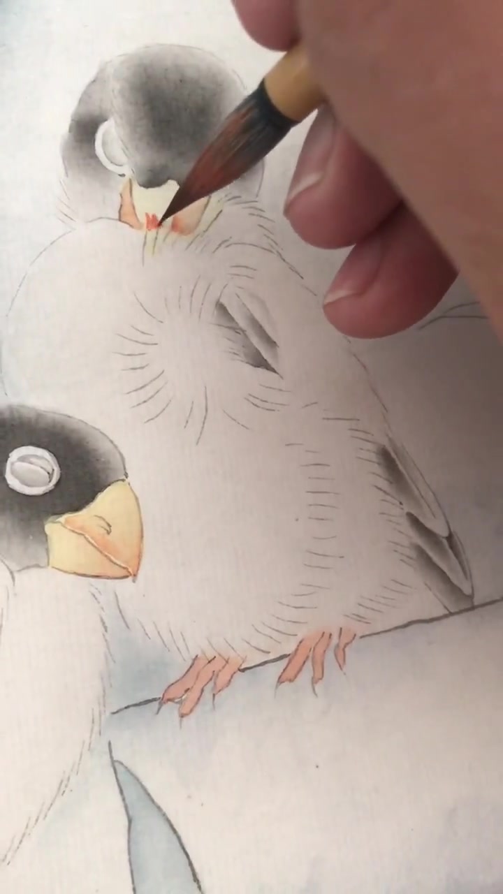 在画小鸟了,用的马蒂斯国画颜料哦^_^