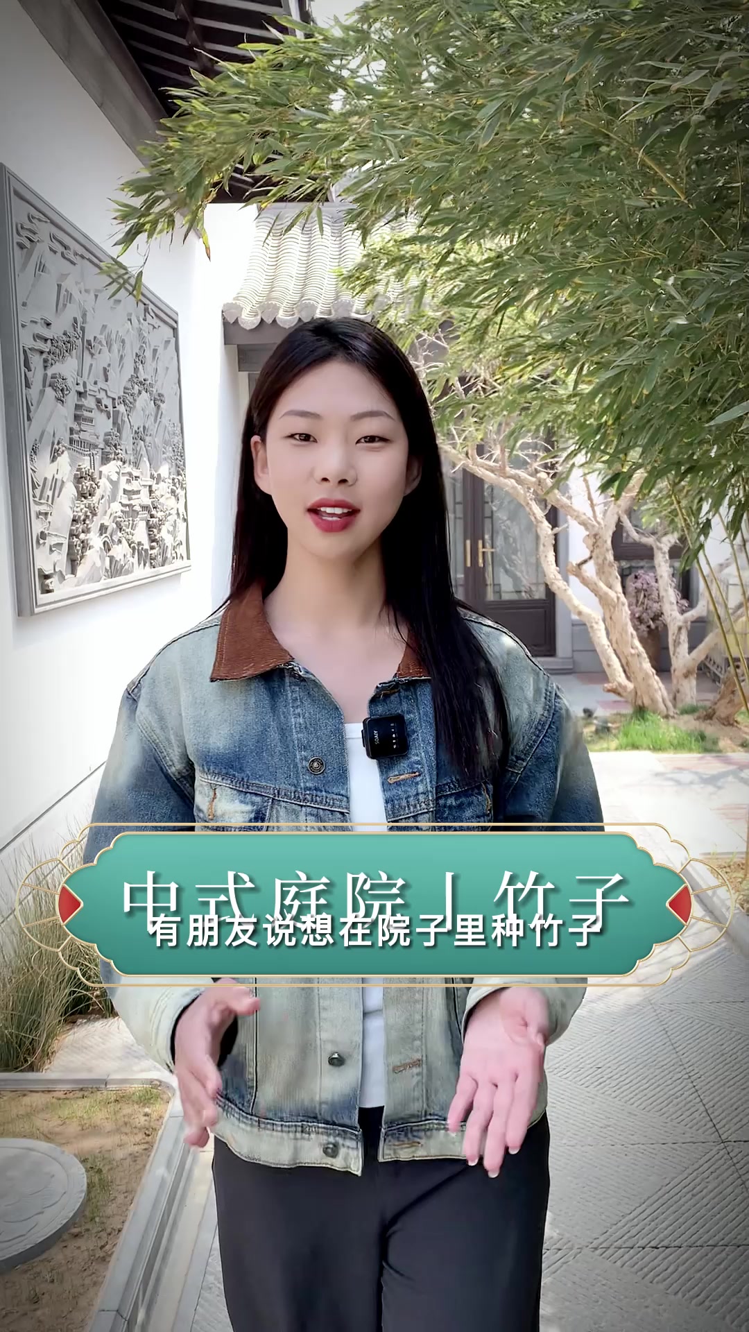 小院改造,庭院种竹子有哪些讲究?