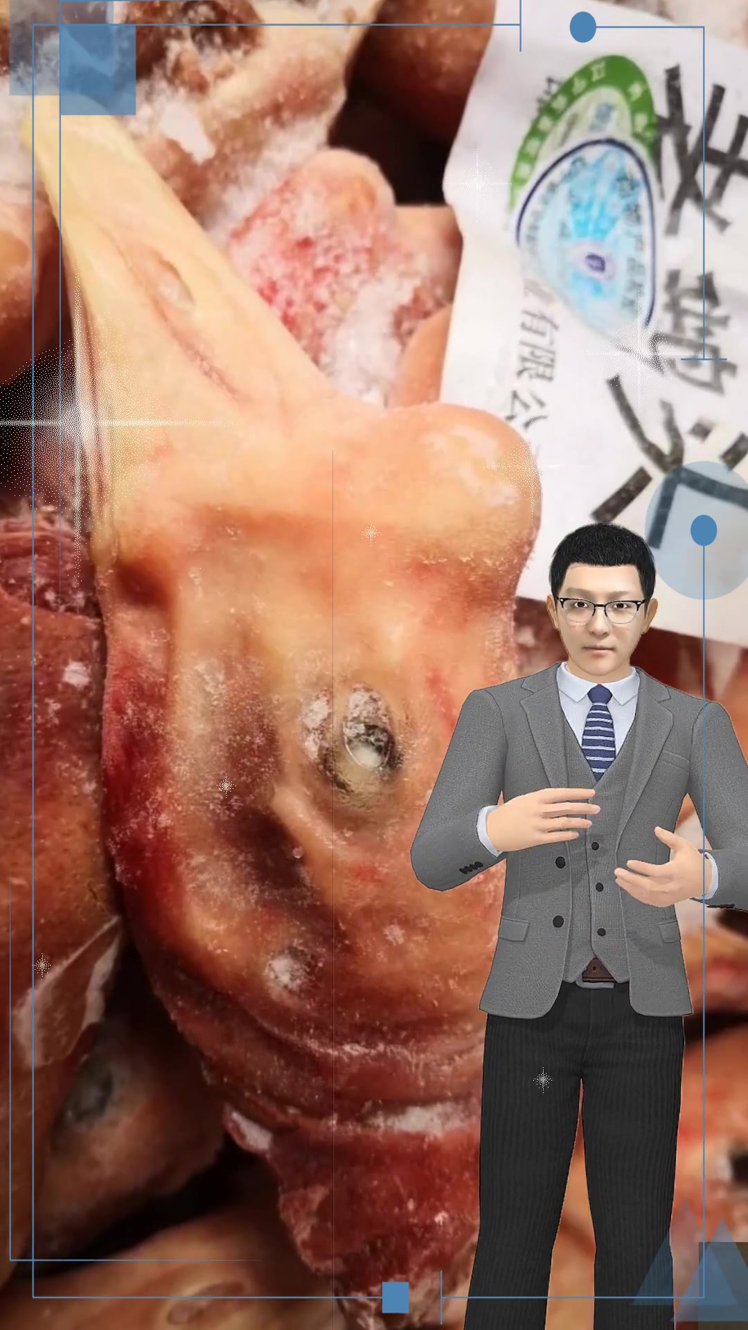 老鹅、仔鹅、白条鹅