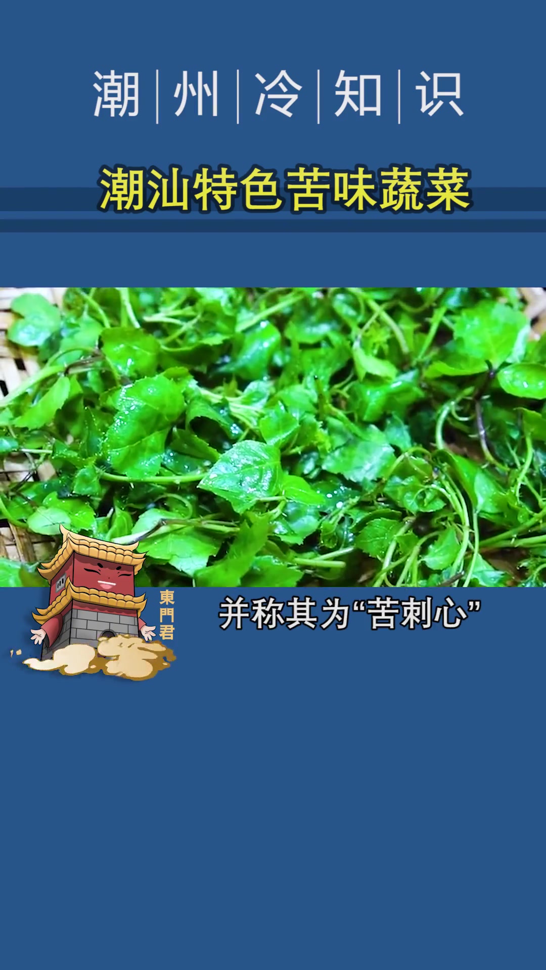 第35集|这种味道偏苦的蔬菜,你爱吃吗?绿色食品 纯天然绿色食品 蔬菜 蔬菜???? 植物 食物