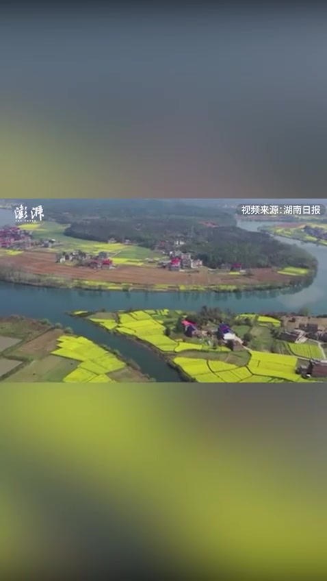 湖南安仁第十二届油菜花节开幕,众多游人踏春赏花