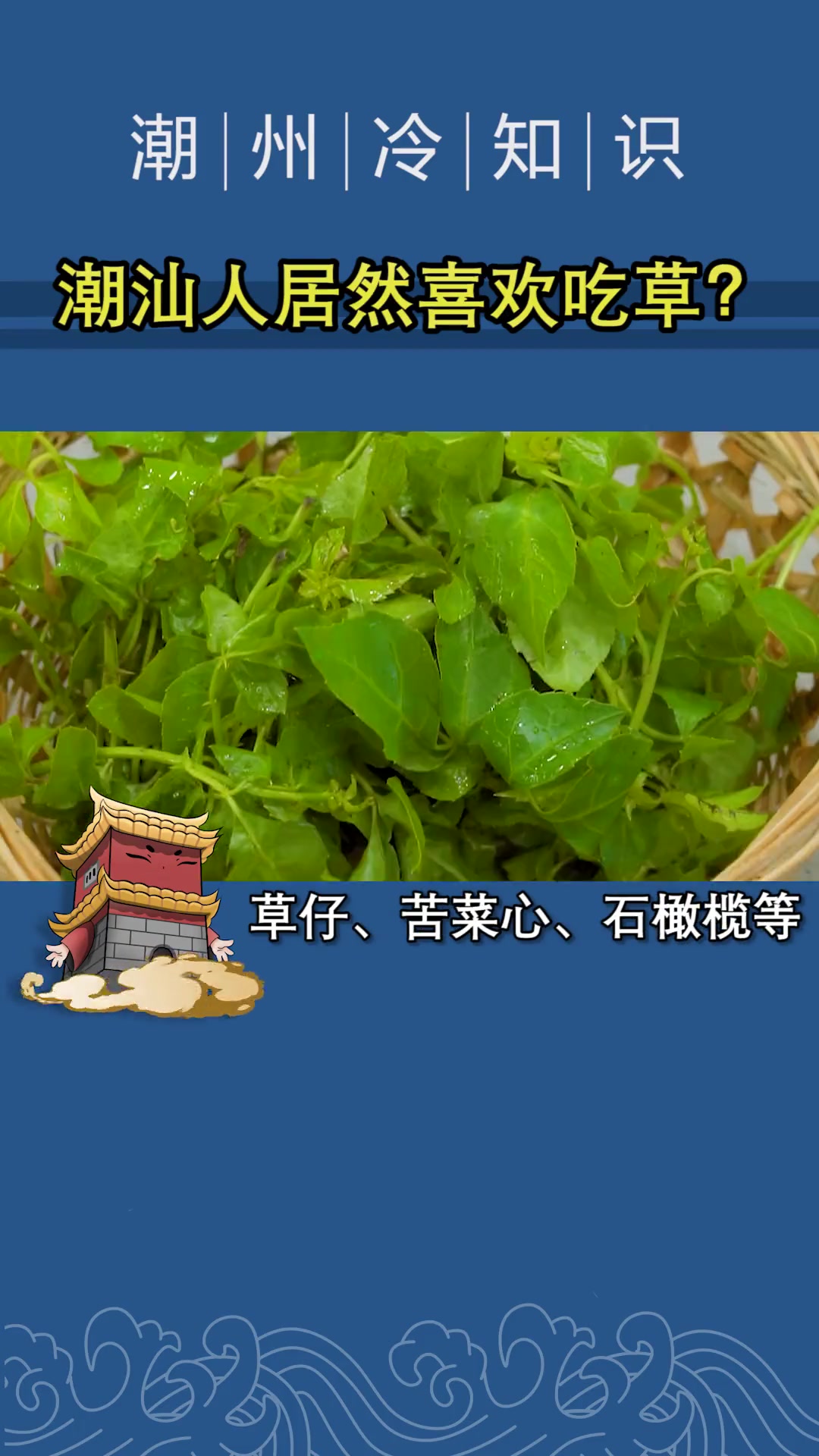 潮汕人爱吃草?吃的是什么草?中草药 中药 食疗 凉茶 科普 科普 田园生活 乡村味道 潮州