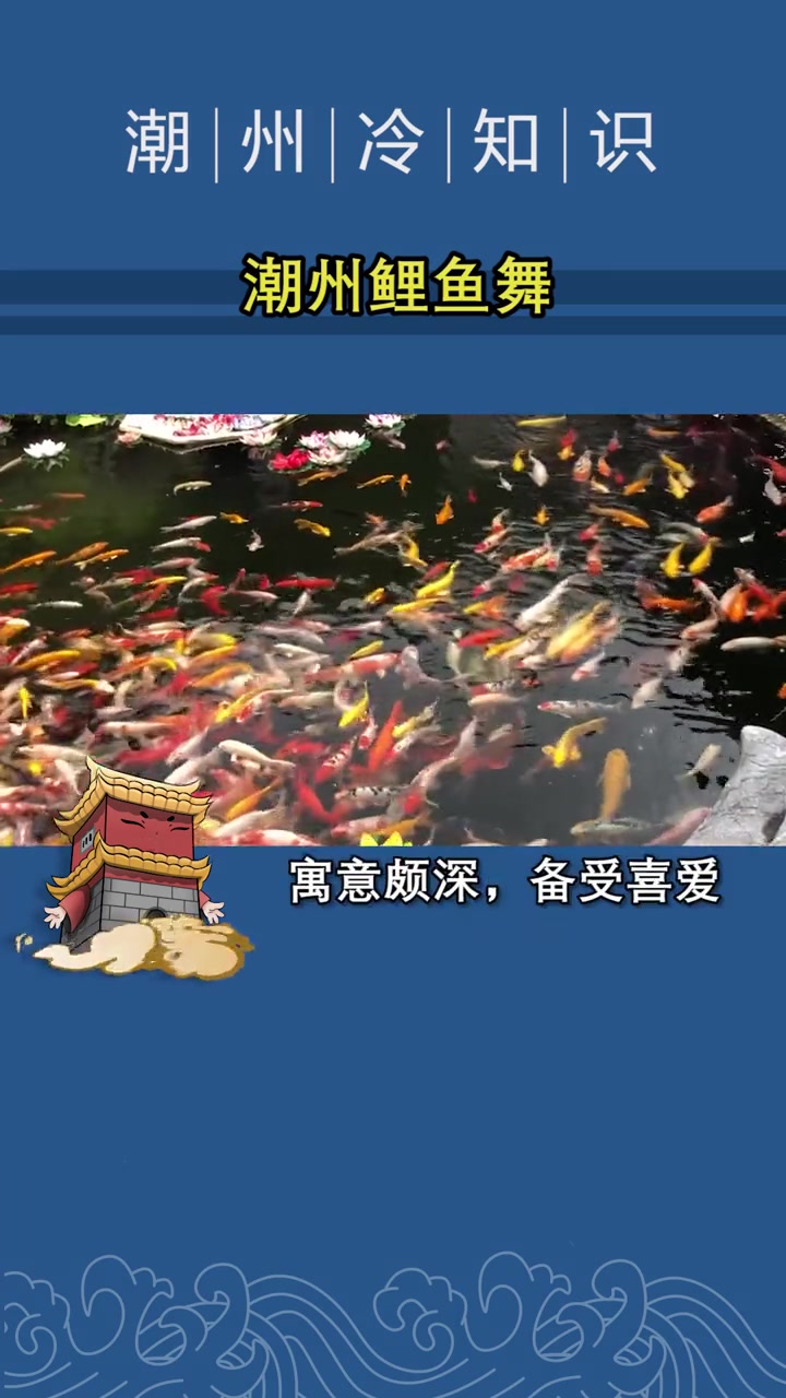 潮州罕见的鲤鱼舞表演!你见过吗?潮州 传统文化 非遗文化 传承 潮汕 非遗