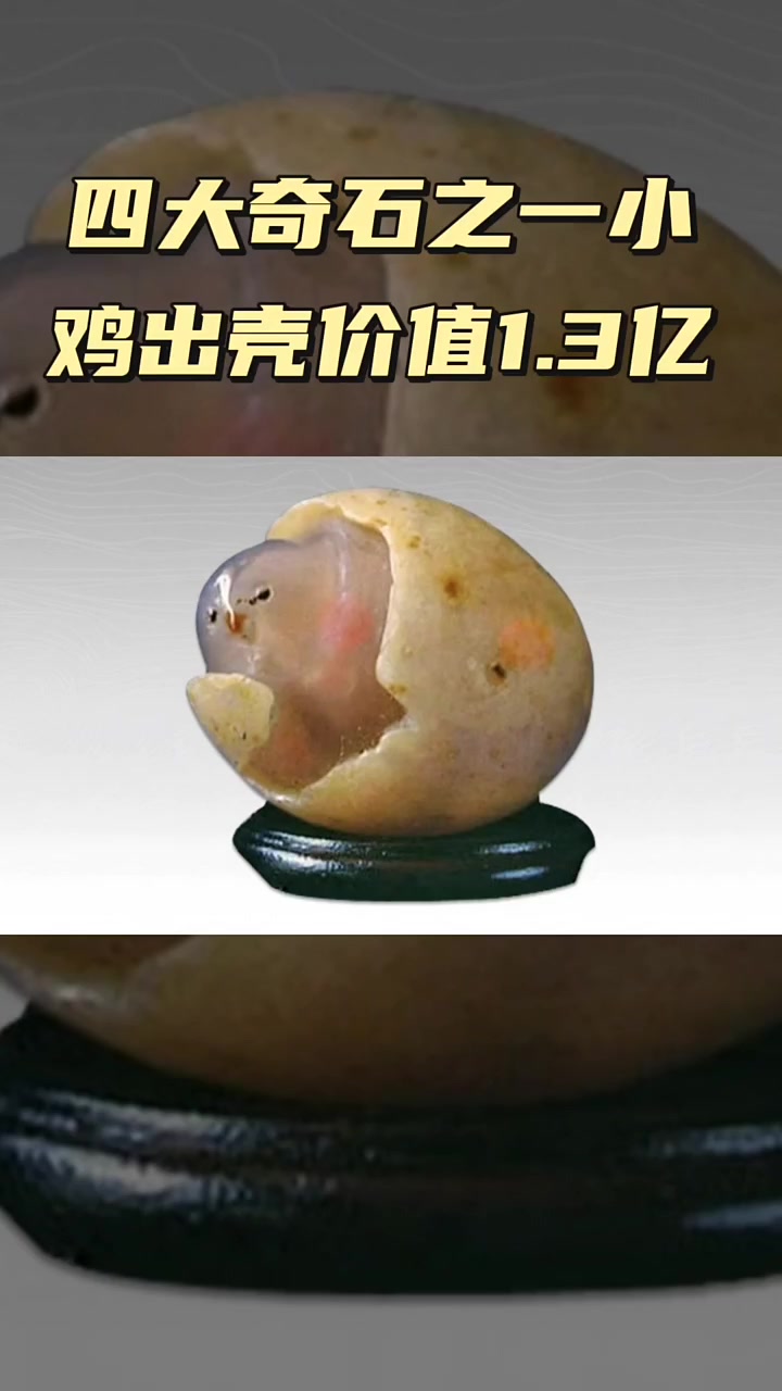小鸡出壳玛瑙石价值上亿