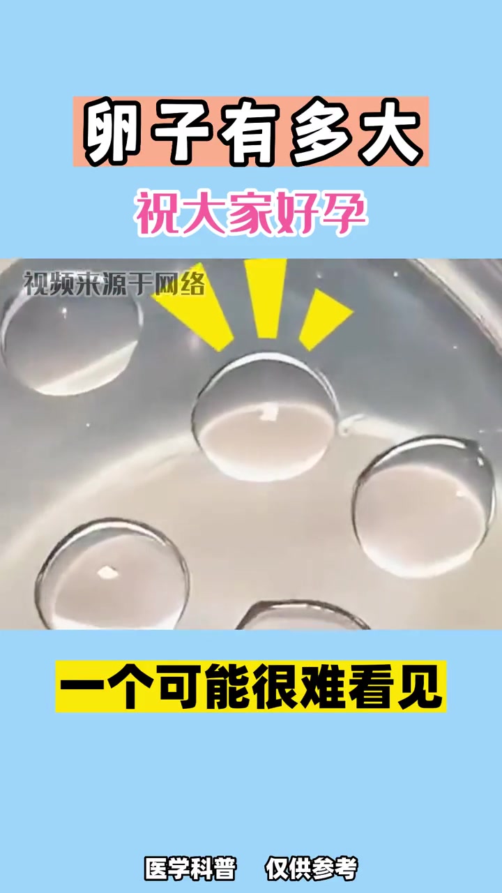 真实的卵子大小你见过吗 关爱女性健康 卵子 医学科普 备孕