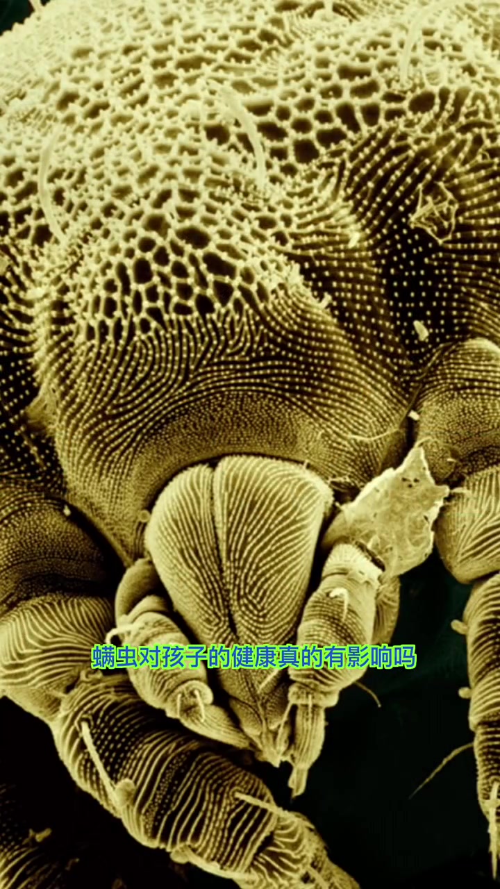 割韭菜最多的除螨产品你会买单吗