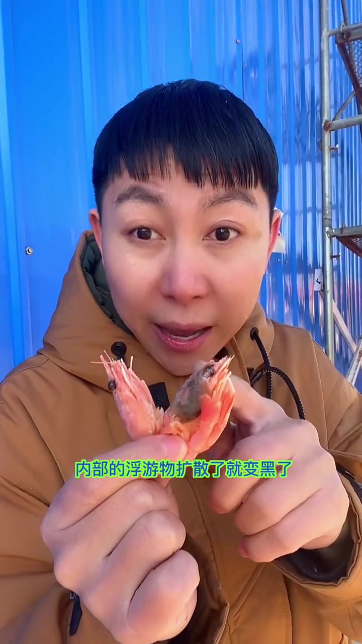 元宝虾真的不是北极甜虾你懂了吗