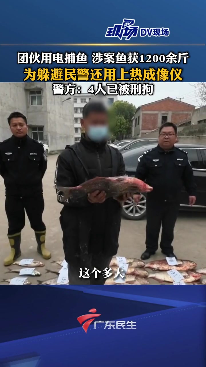 团伙用电捕鱼,为躲避民警还用上热成像仪,涉案鱼获1200余斤,警方:4人已被刑拘