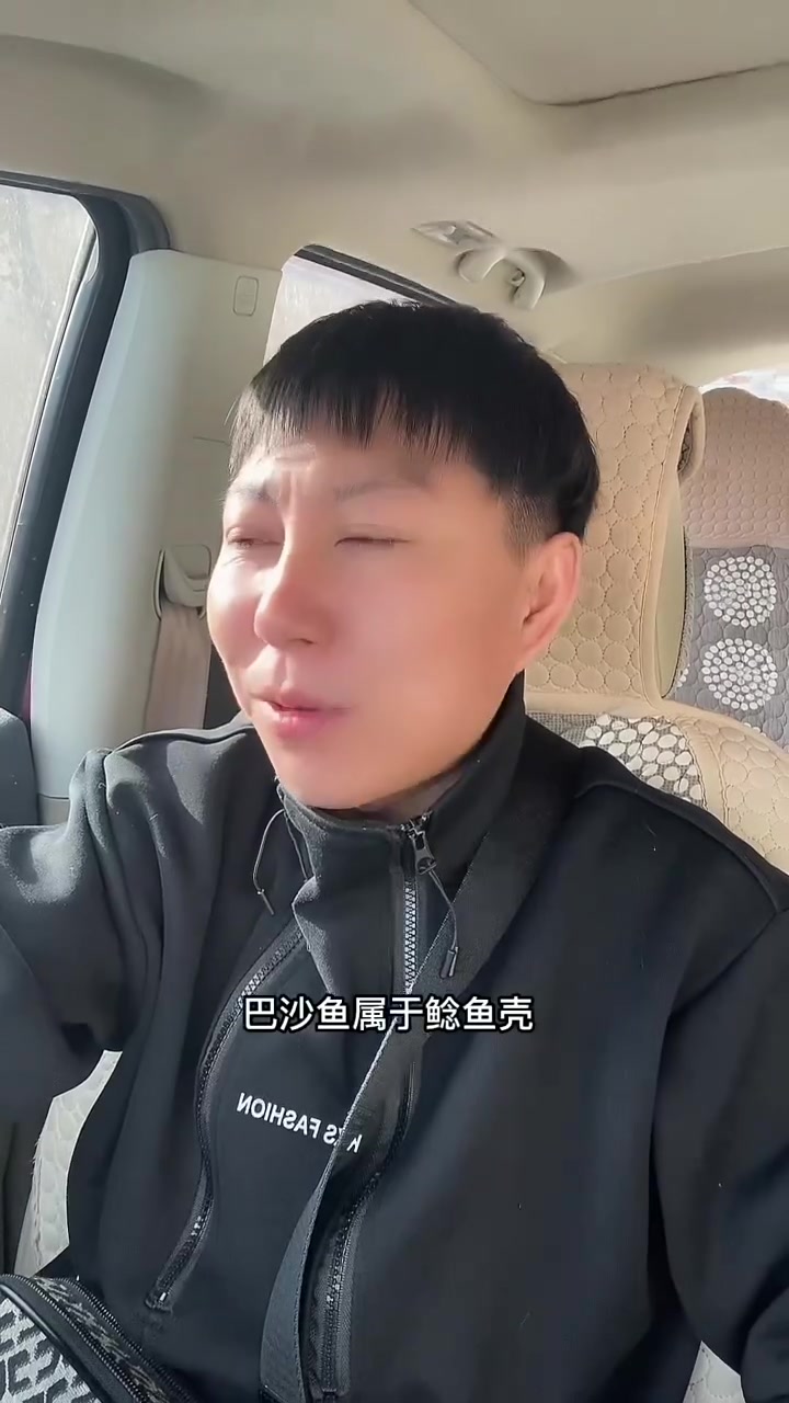 巴沙鱼什么时候进去的我们餐桌