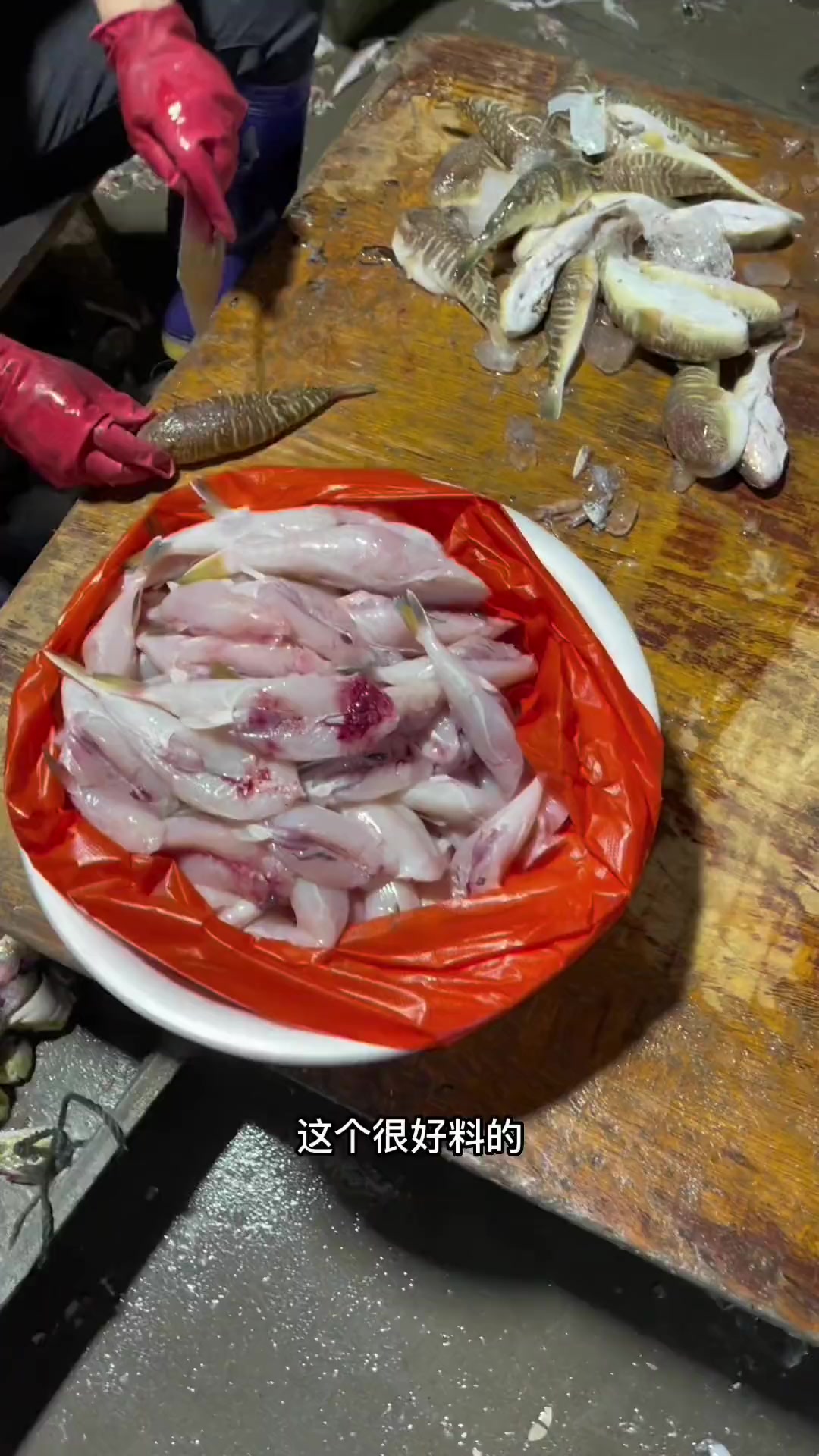 野生和养殖河豚的区别,野生河豚不懂得宰杀千万别食用,老渔民的忠告,野生河豚内脏有剧毒,特别