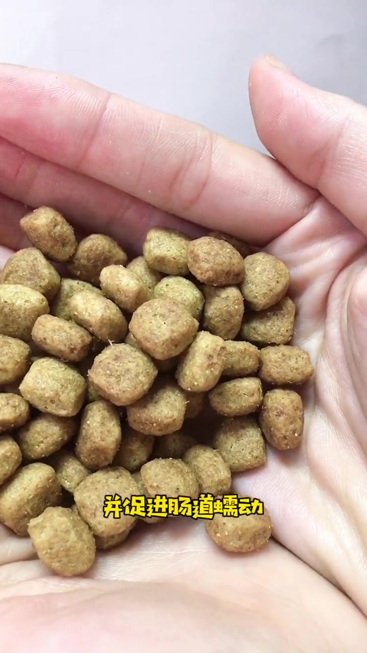 狗狗胰腺炎 胰腺炎狗狗 皇家处方粮 铲屎官看过来,你的狗子是不是和我家宝宝一样,不如试试这