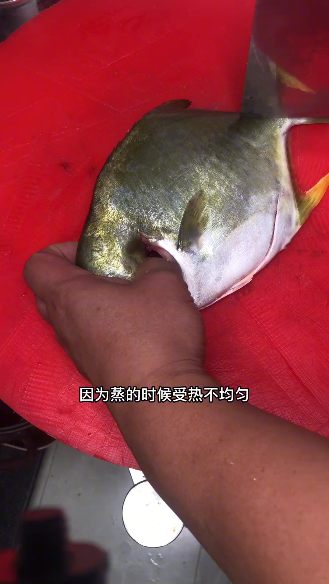 清蒸鱼要怎么切?这种切法只是其中的一种,还有很多切法哦!深海鱼 鲳鱼 石斑鱼 大黄鱼 海鲈
