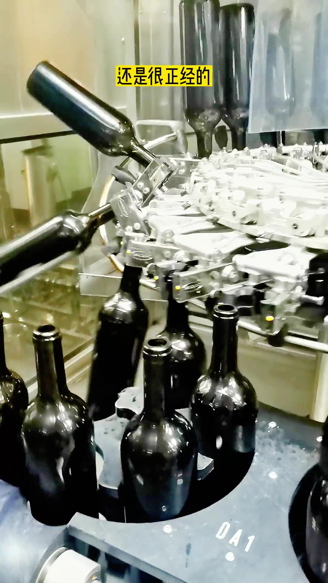 第22集|葡萄酒必须要在酒庄装瓶吗?异地灌装可以吗?葡萄酒 新疆葡萄酒 现场实拍 新疆特产