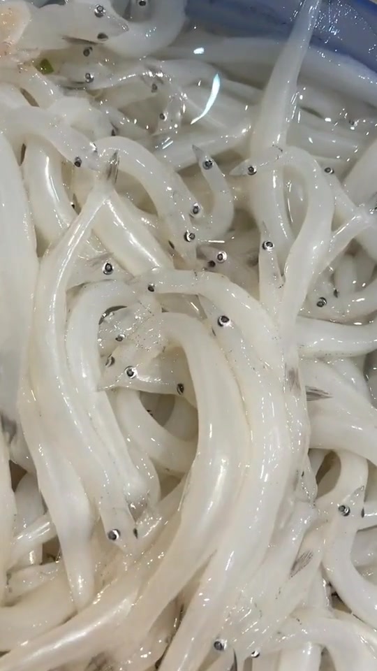新鲜的银鱼,蛋白质含量为72%,氨基酸含量也相当丰富,真正的高蛋白低脂肪,银鱼煎蛋,很经典