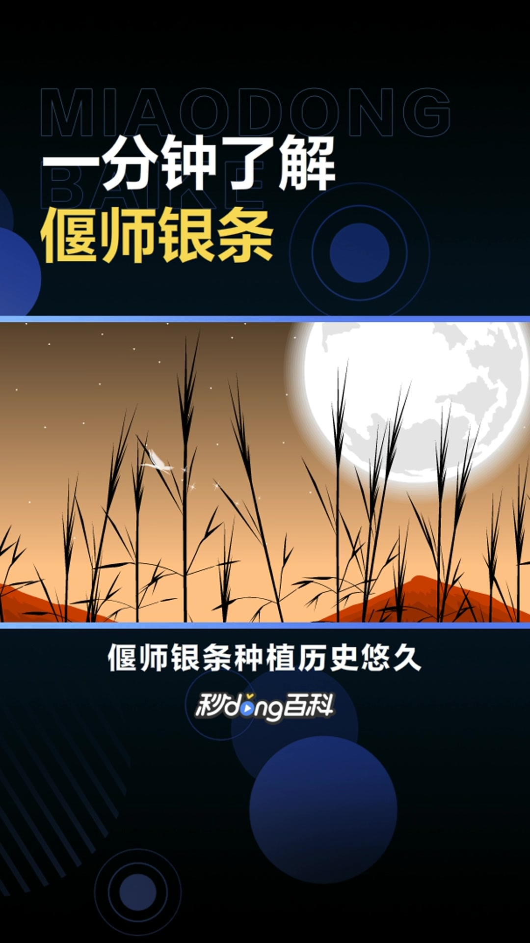 偃师银条:河南省洛阳市偃师区特产